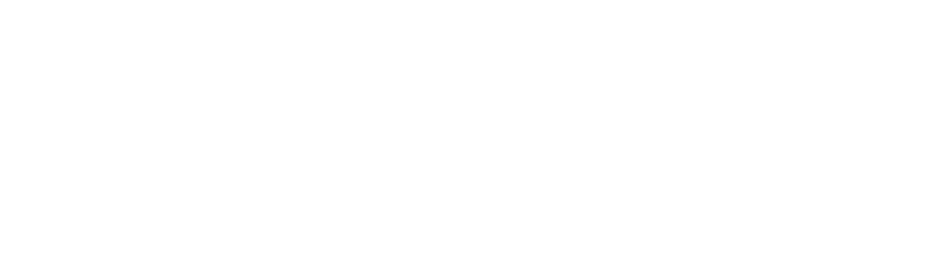 Firma Web Design & SEO - Creare & Promovare Website